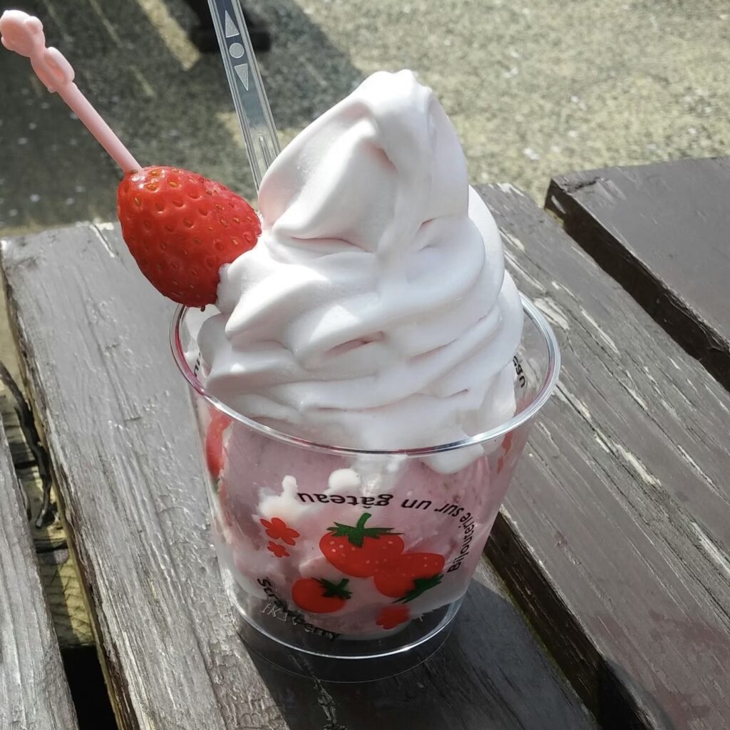 Tochiotome Strawberries
